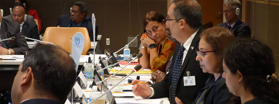  Mr. Martin Chungong, Sec-Gen, IPU; Hon. Mr. Jose Carlos Mahia, Speaker, House of Representatives of Uruguay, IPU Committee on UN Affairs; Hon. Ms Petra Bayr, MP, National Council of Austria, IPU Advisory Group on Health; Hon. Mr. Amadou Cissé, MP