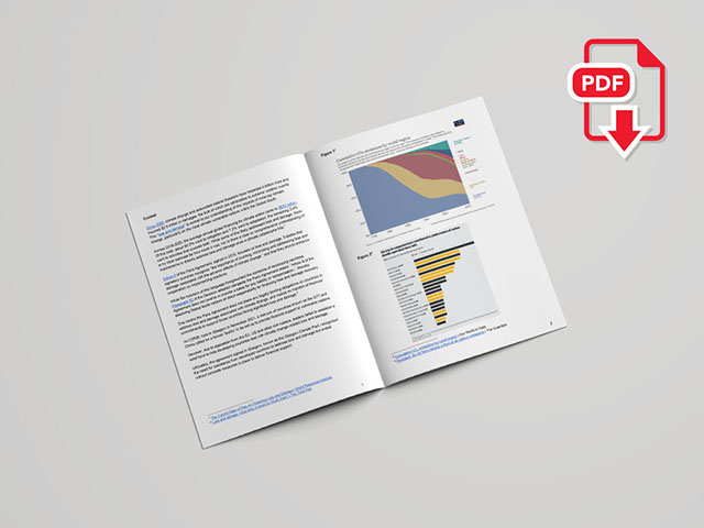 Loss and Damage Finance Mechanism